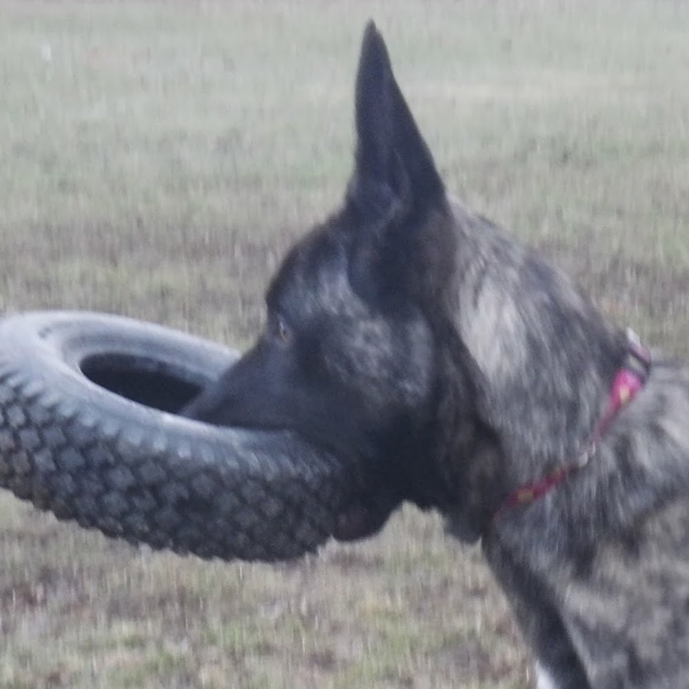 Meet your Posher, Craig